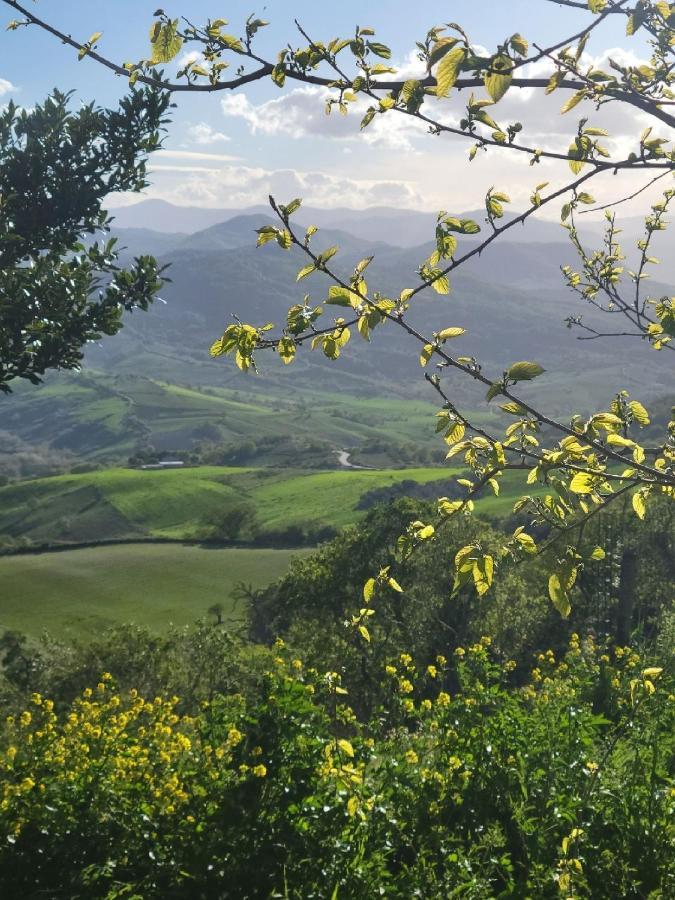 Ancient Stone 'Casa Rosa'- Sea And Mountain View Tranquil Borgo Villa Tavenna Buitenkant foto
